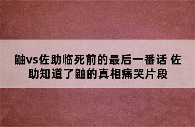 鼬vs佐助临死前的最后一番话 佐助知道了鼬的真相痛哭片段